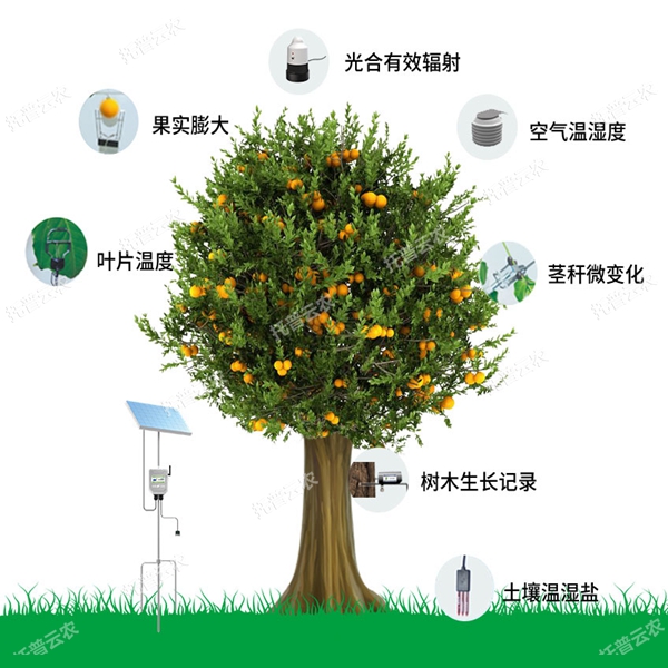 植物生理生態(tài)指標(biāo)測(cè)定方法有哪些