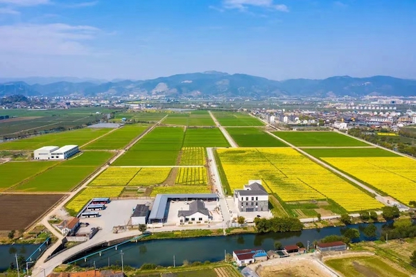 高標(biāo)準(zhǔn)農(nóng)田典型案例集錦丨“豐景”，在希望的田野